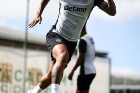 开云APP-波尔图冲刺阶段远射贴柱，志在葡超名次提升，管理层满意，纪律约束更严格的简单介绍